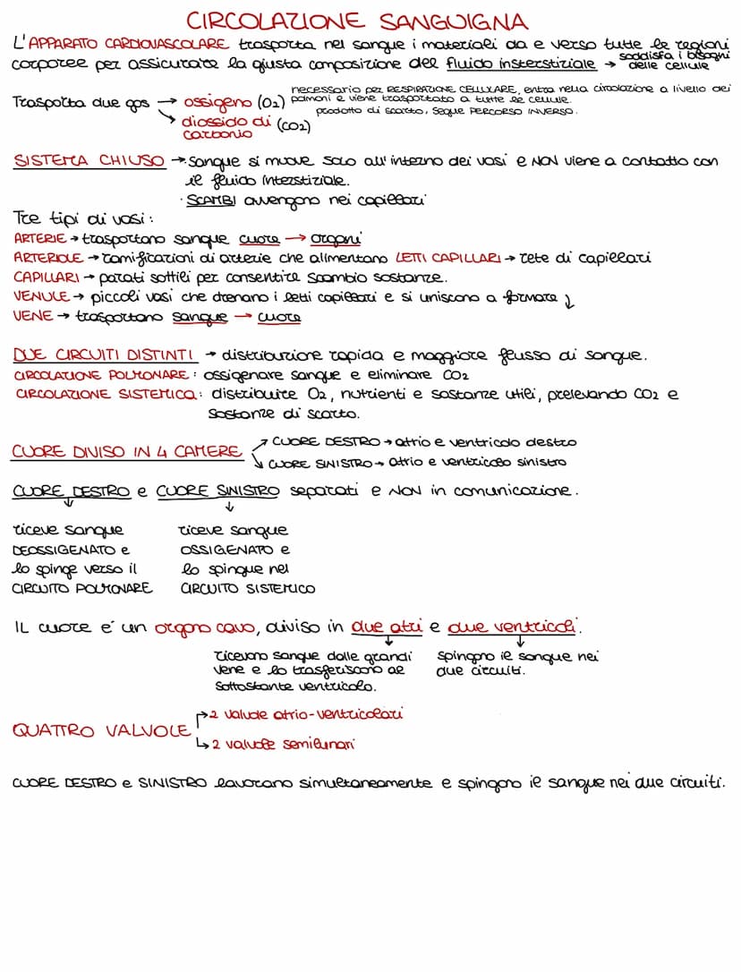 Lo sviluppo di un organismo parte da un'unica cellula, lo rigote,
e poi attraverso il DIFFERENZIAMENTO si arriva alla formazione della →
com