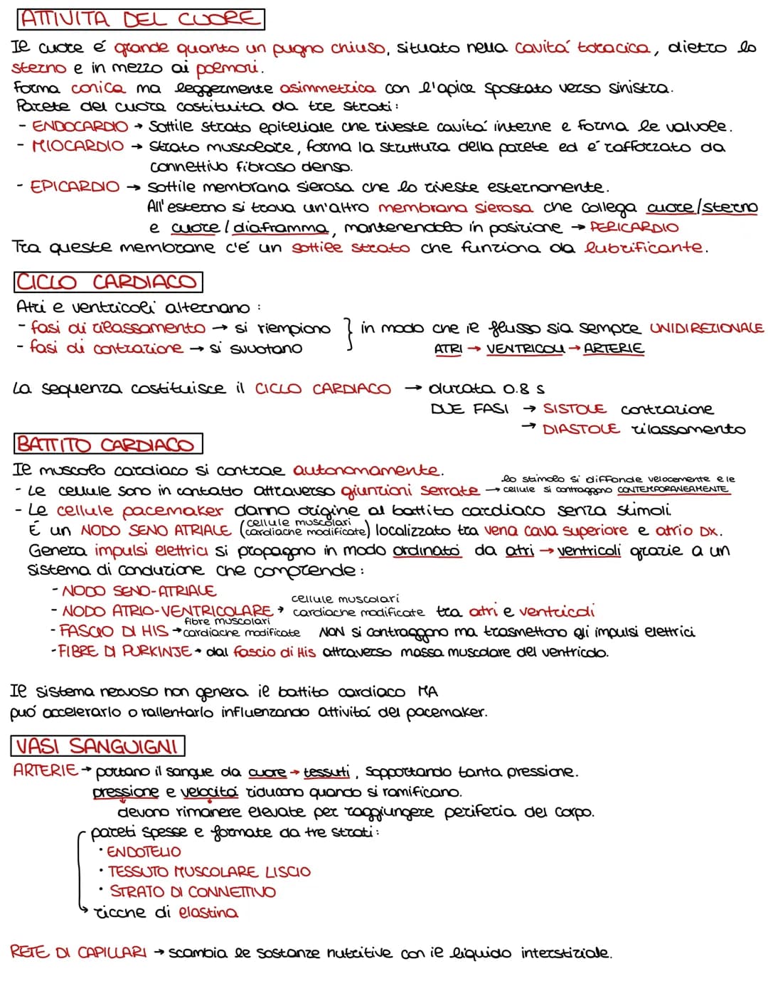 Lo sviluppo di un organismo parte da un'unica cellula, lo rigote,
e poi attraverso il DIFFERENZIAMENTO si arriva alla formazione della →
com