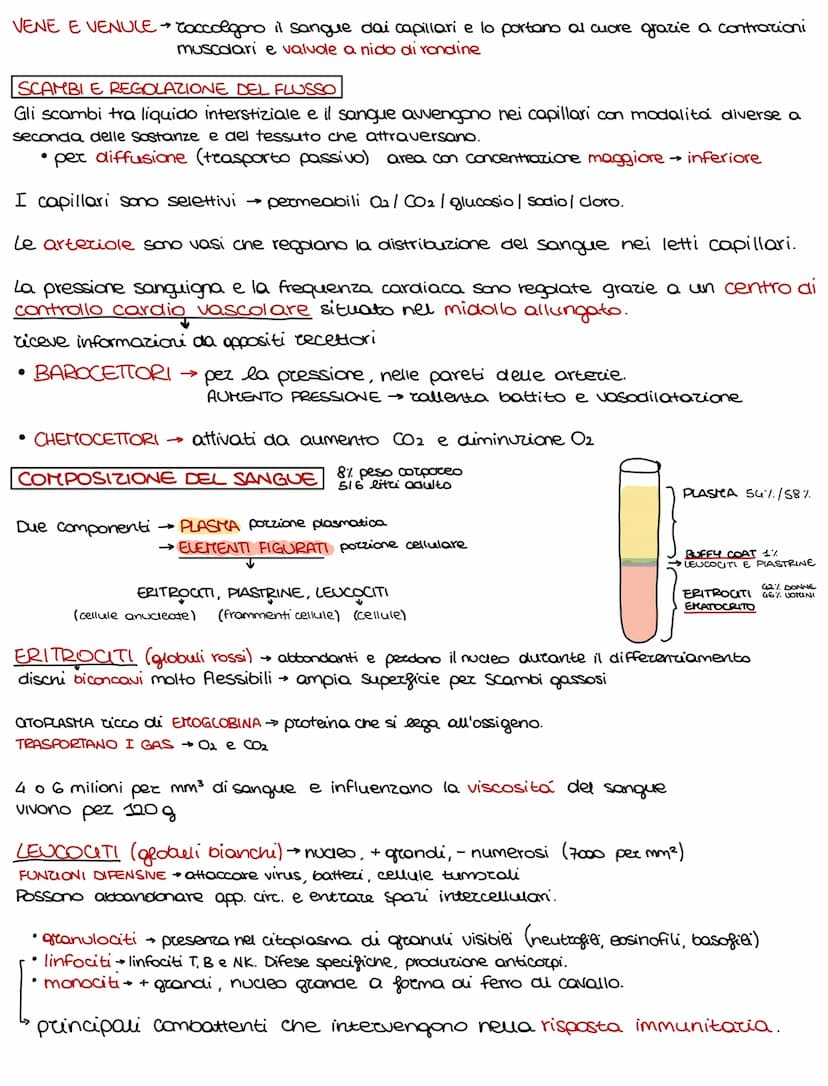 Lo sviluppo di un organismo parte da un'unica cellula, lo rigote,
e poi attraverso il DIFFERENZIAMENTO si arriva alla formazione della →
com