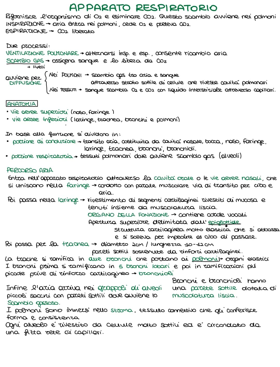 Lo sviluppo di un organismo parte da un'unica cellula, lo rigote,
e poi attraverso il DIFFERENZIAMENTO si arriva alla formazione della →
com