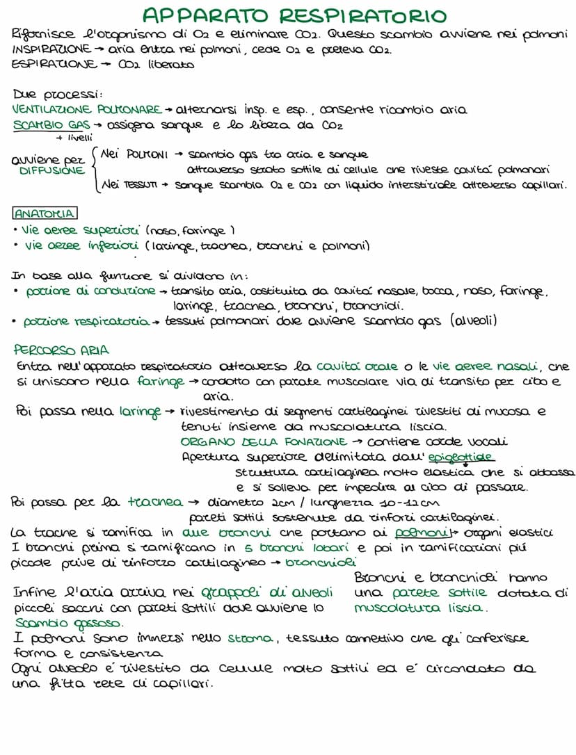 Lo sviluppo di un organismo parte da un'unica cellula, lo rigote,
e poi attraverso il DIFFERENZIAMENTO si arriva alla formazione della →
com