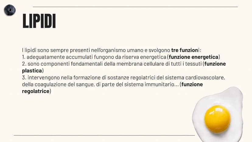 HEALTHY LIFESTYLE - HEALTHY LIFESTYLE - HEALTHY LIFESTYLE - HEALTHY LIFESTYLE
L'ALIMENTAZIONE
Sofia Pellegrini 40
ALIMENTAZIONE - ALIMENTAZI