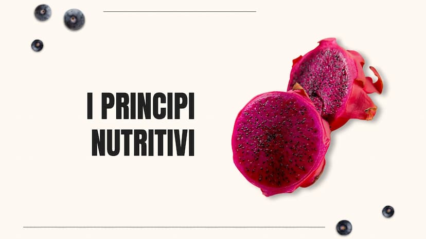HEALTHY LIFESTYLE - HEALTHY LIFESTYLE - HEALTHY LIFESTYLE - HEALTHY LIFESTYLE
L'ALIMENTAZIONE
Sofia Pellegrini 40
ALIMENTAZIONE - ALIMENTAZI