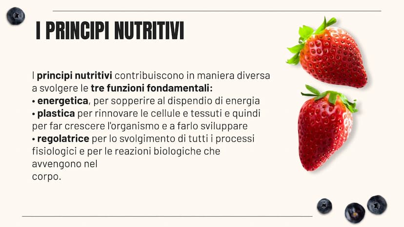 HEALTHY LIFESTYLE - HEALTHY LIFESTYLE - HEALTHY LIFESTYLE - HEALTHY LIFESTYLE
L'ALIMENTAZIONE
Sofia Pellegrini 40
ALIMENTAZIONE - ALIMENTAZI