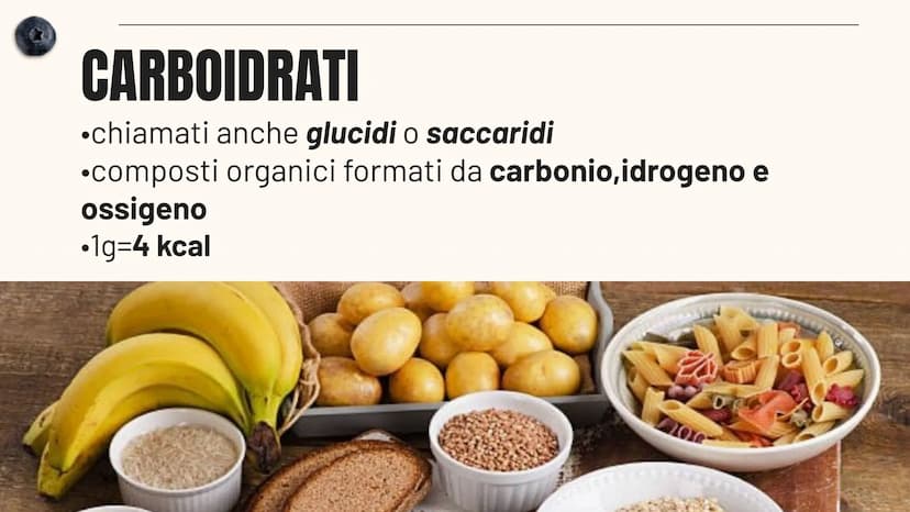 HEALTHY LIFESTYLE - HEALTHY LIFESTYLE - HEALTHY LIFESTYLE - HEALTHY LIFESTYLE
L'ALIMENTAZIONE
Sofia Pellegrini 40
ALIMENTAZIONE - ALIMENTAZI
