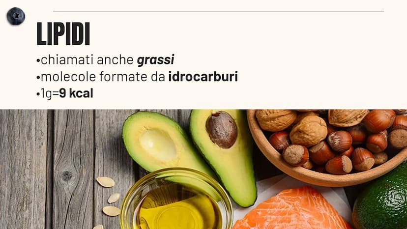 HEALTHY LIFESTYLE - HEALTHY LIFESTYLE - HEALTHY LIFESTYLE - HEALTHY LIFESTYLE
L'ALIMENTAZIONE
Sofia Pellegrini 40
ALIMENTAZIONE - ALIMENTAZI
