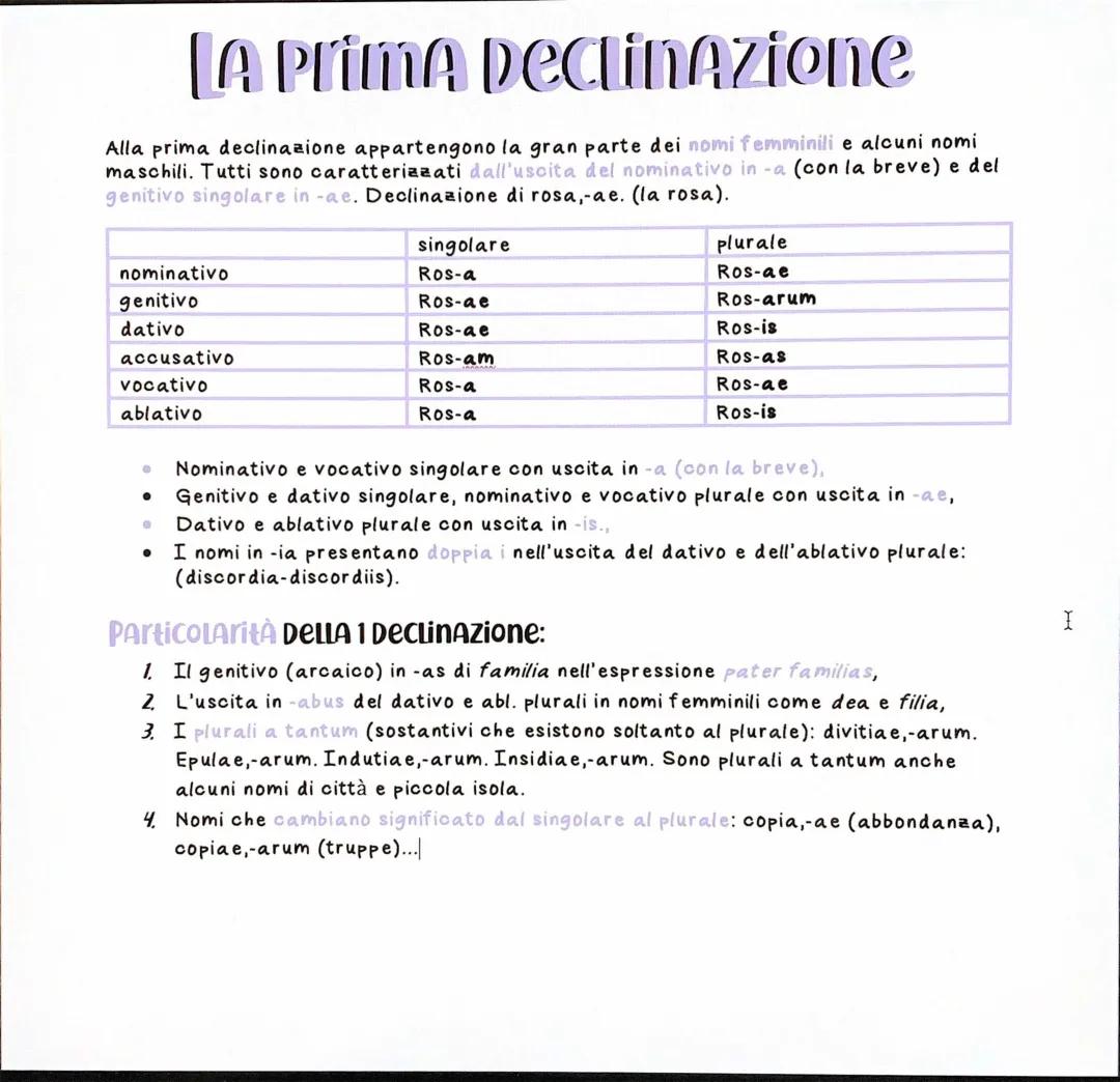 Scopri la Prima e Seconda Declinazione Latino con Esempi e PDF