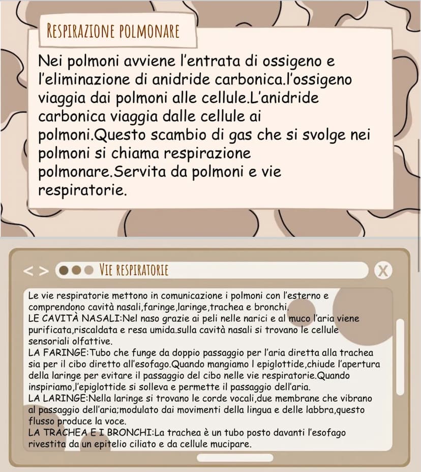 се
La respirazione
AREle
LA RESPIRAZIONE CELLULARE
di
La respirazione è l'atto che ci permette di rifornire il nostro corpo
ossigeno.
A COSA