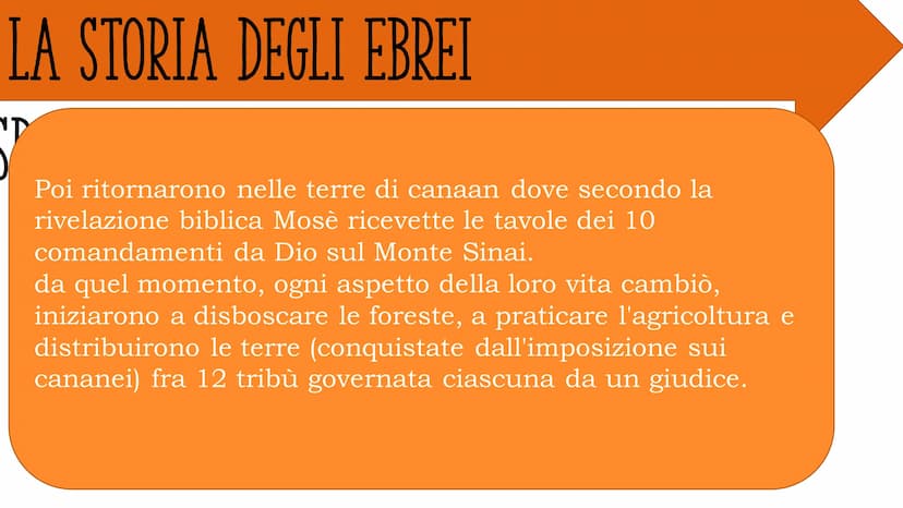 EBREI E FENICI INDICE-EBREI
DOVE TUTTO È INIZIATO
I POPOLI DELLA PORPORA
LA STORIA DEGLI EBREI
IL REGNO DI ISRAELE DOVE TUTTO È INIZIATO
Tut