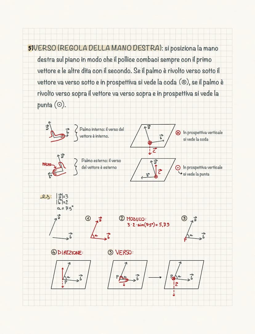 I vettori
+GRANDEZZE SCALARI: sono descritte da un valore numerico
ottenuto mediante un'unità di misura.
+GRANDEZZE VETTORIALI: per descrive