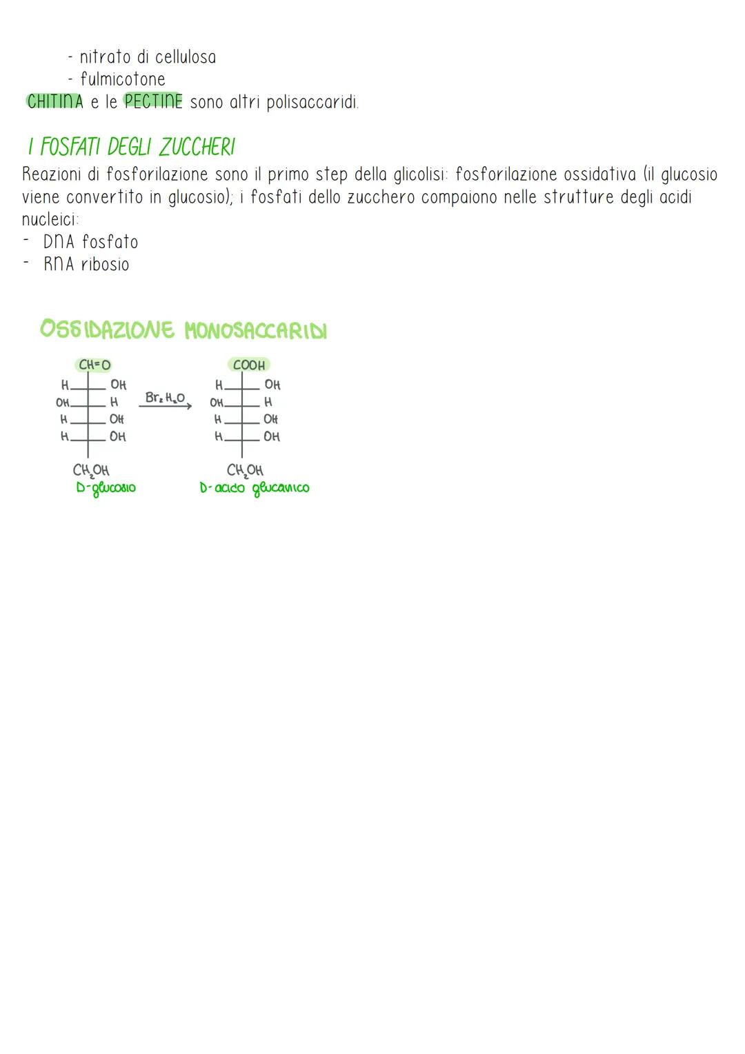 I I carboidrati
Definizione e classificazione
I carboidrati sono caratterizzati da un gruppo ossidrilico e un gruppo carbonilico.
Polisaccar