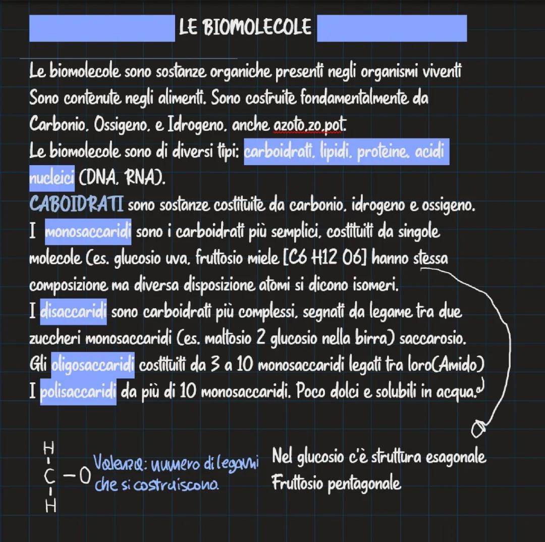 Scopri i Carboidrati e Acidi Nucleici: Esempi e Struttura per Ragazzi