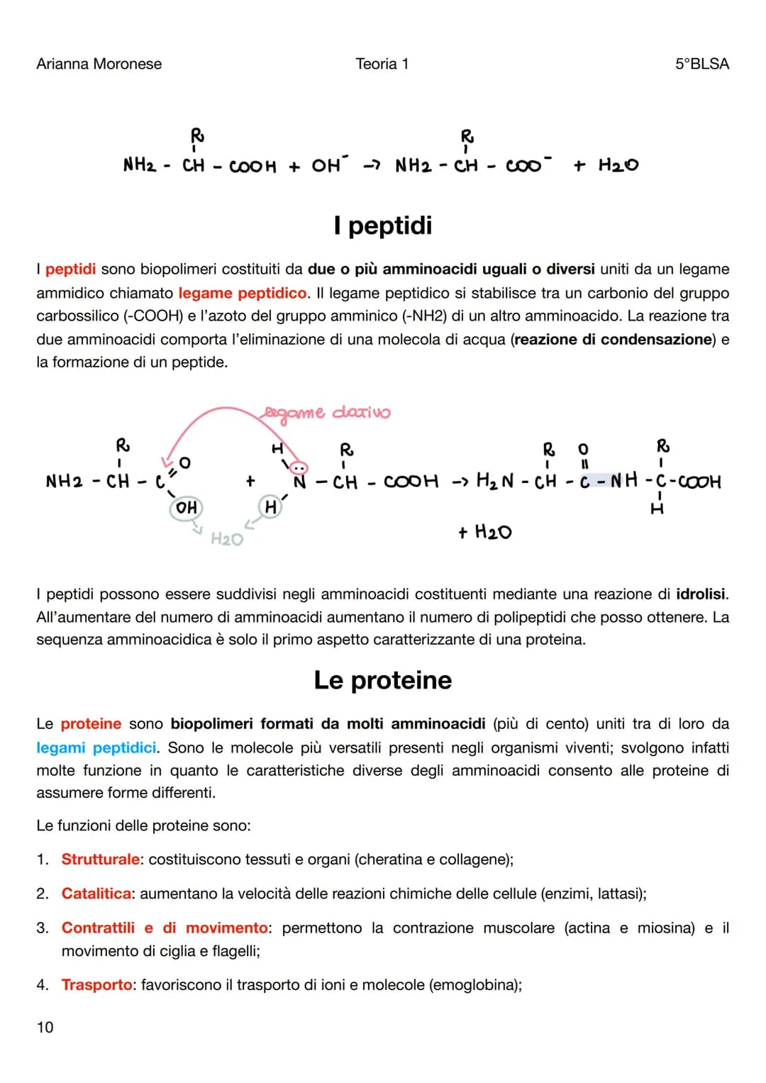 Arianna Moronese
Teoria 1
Le biomolecole
5°BLSA
Le biomolecole sono la componente più significativa dei composti organici presenti negli org