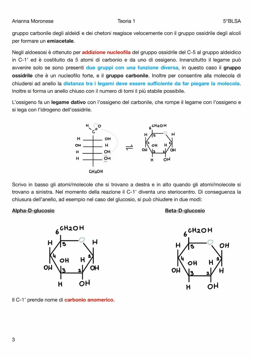 Arianna Moronese
Teoria 1
Le biomolecole
5°BLSA
Le biomolecole sono la componente più significativa dei composti organici presenti negli org