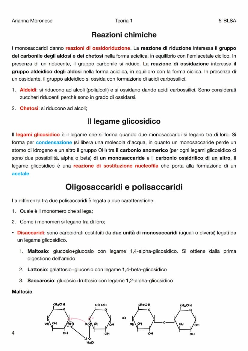 Arianna Moronese
Teoria 1
Le biomolecole
5°BLSA
Le biomolecole sono la componente più significativa dei composti organici presenti negli org