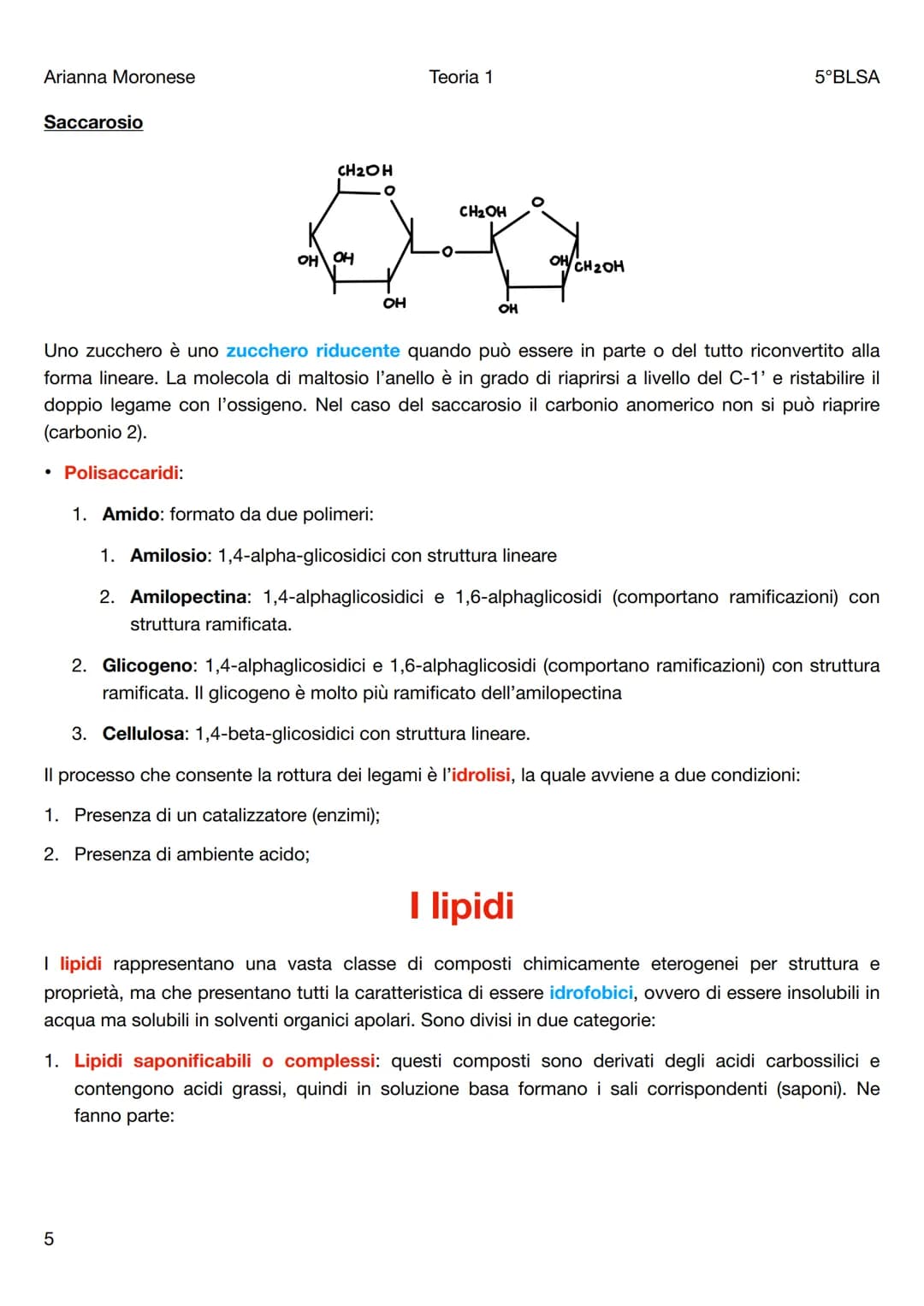Arianna Moronese
Teoria 1
Le biomolecole
5°BLSA
Le biomolecole sono la componente più significativa dei composti organici presenti negli org