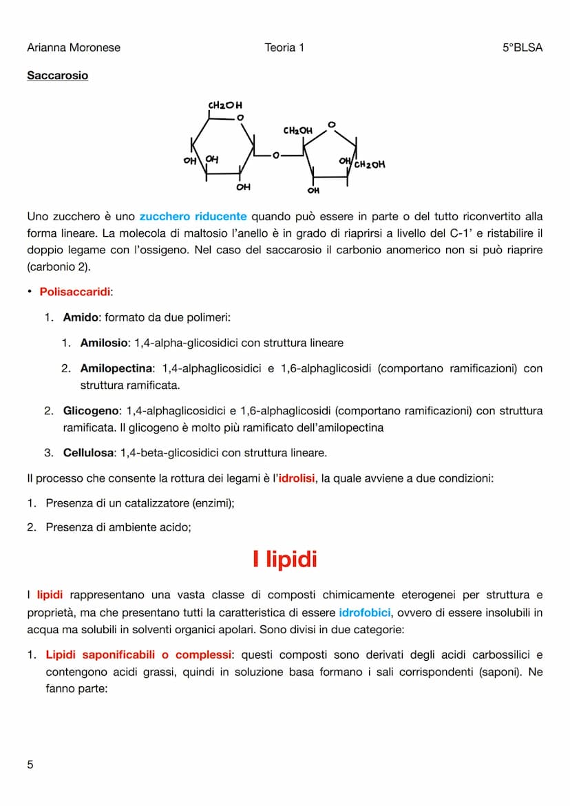 Arianna Moronese
Teoria 1
Le biomolecole
5°BLSA
Le biomolecole sono la componente più significativa dei composti organici presenti negli org