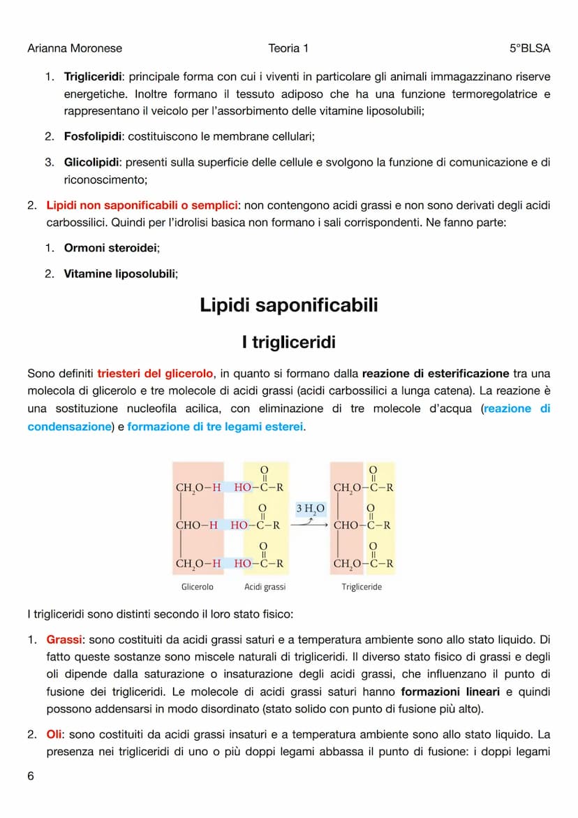 Arianna Moronese
Teoria 1
Le biomolecole
5°BLSA
Le biomolecole sono la componente più significativa dei composti organici presenti negli org