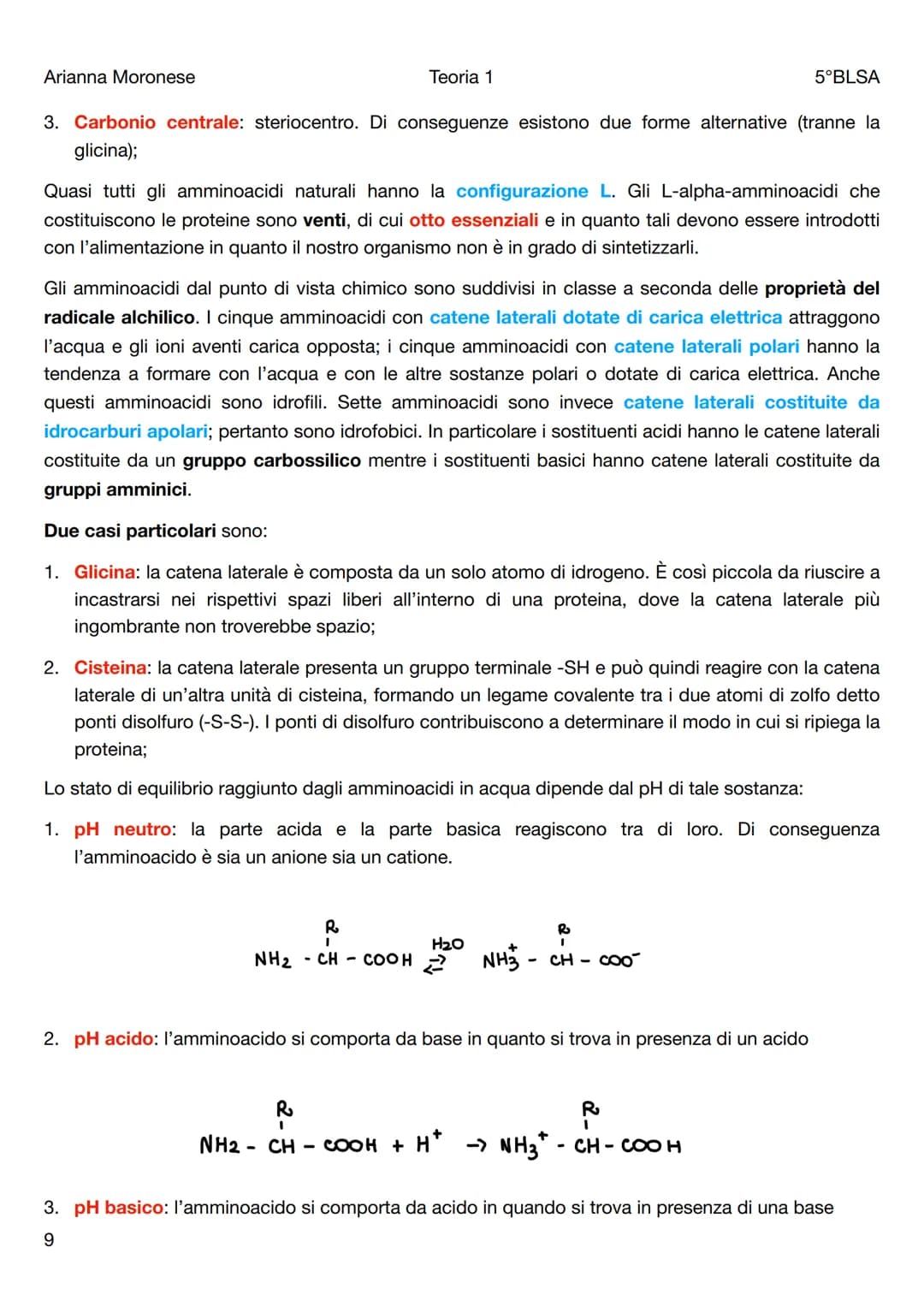 Arianna Moronese
Teoria 1
Le biomolecole
5°BLSA
Le biomolecole sono la componente più significativa dei composti organici presenti negli org