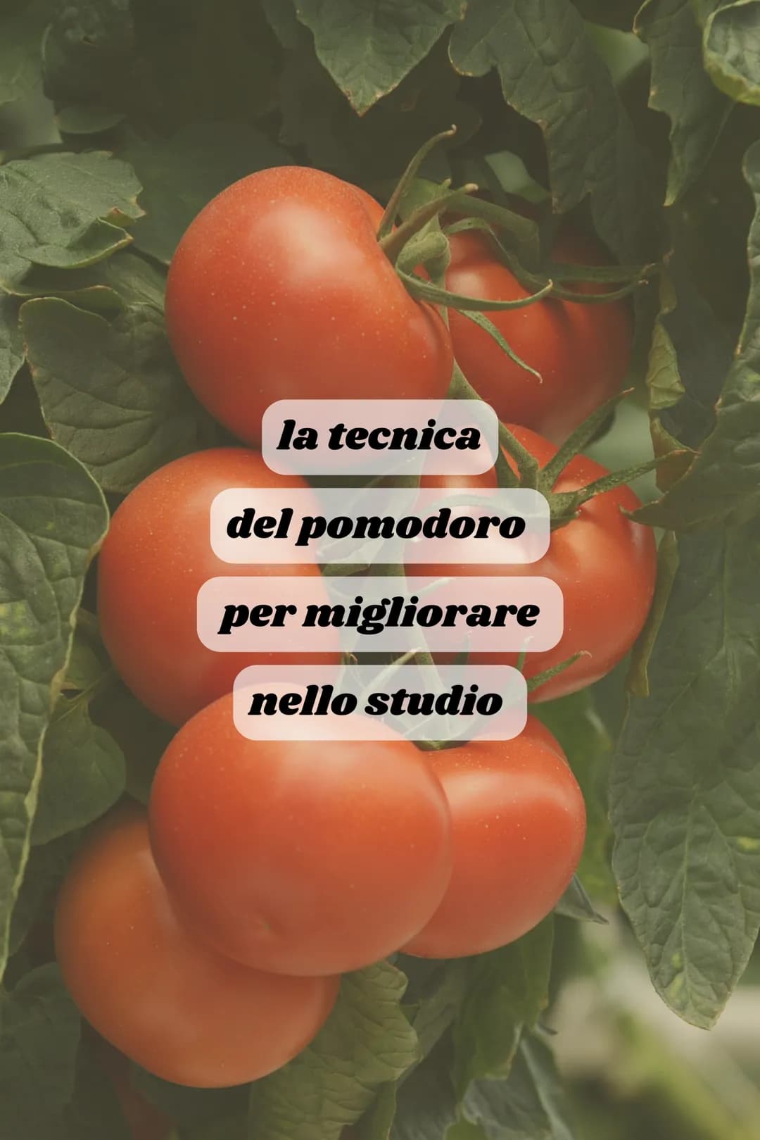 la tecnica
del pomodoro
per migliorare
nello studio Come nasce
la tecnica del pomodoro?
La tecnica del pomodoro è stata sviluppata da
France