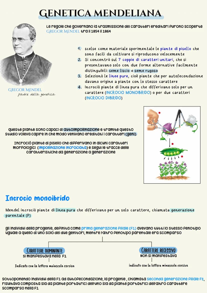 Ereditarieta
L'EREDITARIETÀ, cioè il complesso delle modalità di trasmissione dei caratteri ereditari
dagli individui di una generazione ai 