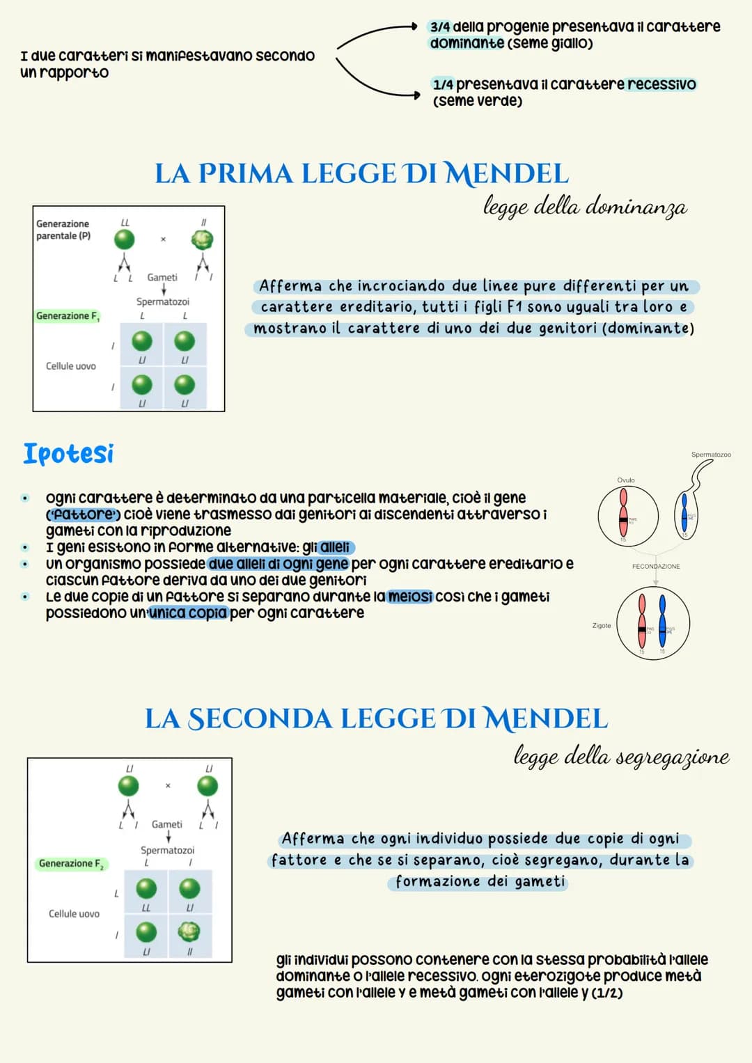 Ereditarieta
L'EREDITARIETÀ, cioè il complesso delle modalità di trasmissione dei caratteri ereditari
dagli individui di una generazione ai 