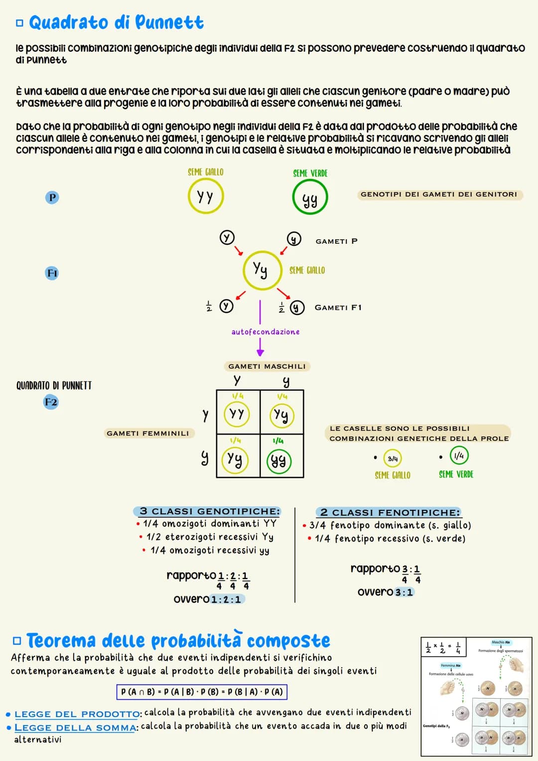 Ereditarieta
L'EREDITARIETÀ, cioè il complesso delle modalità di trasmissione dei caratteri ereditari
dagli individui di una generazione ai 