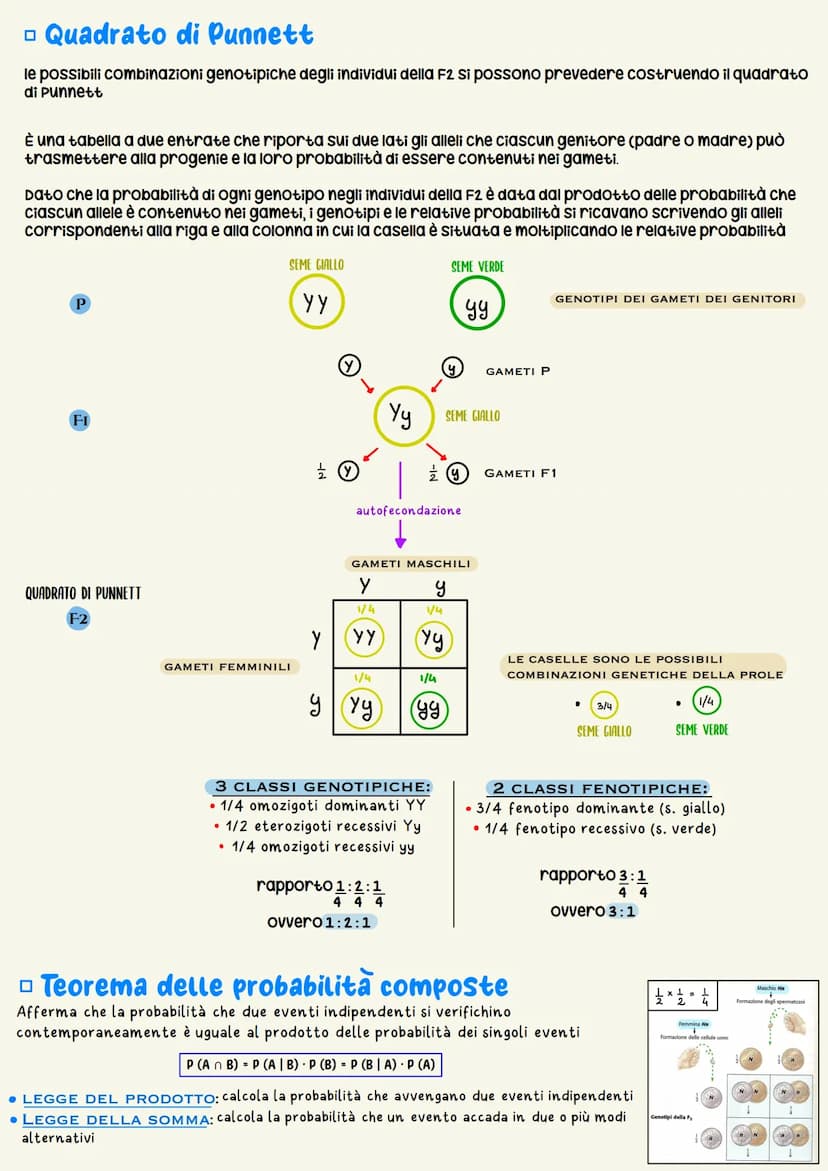 Ereditarieta
L'EREDITARIETÀ, cioè il complesso delle modalità di trasmissione dei caratteri ereditari
dagli individui di una generazione ai 
