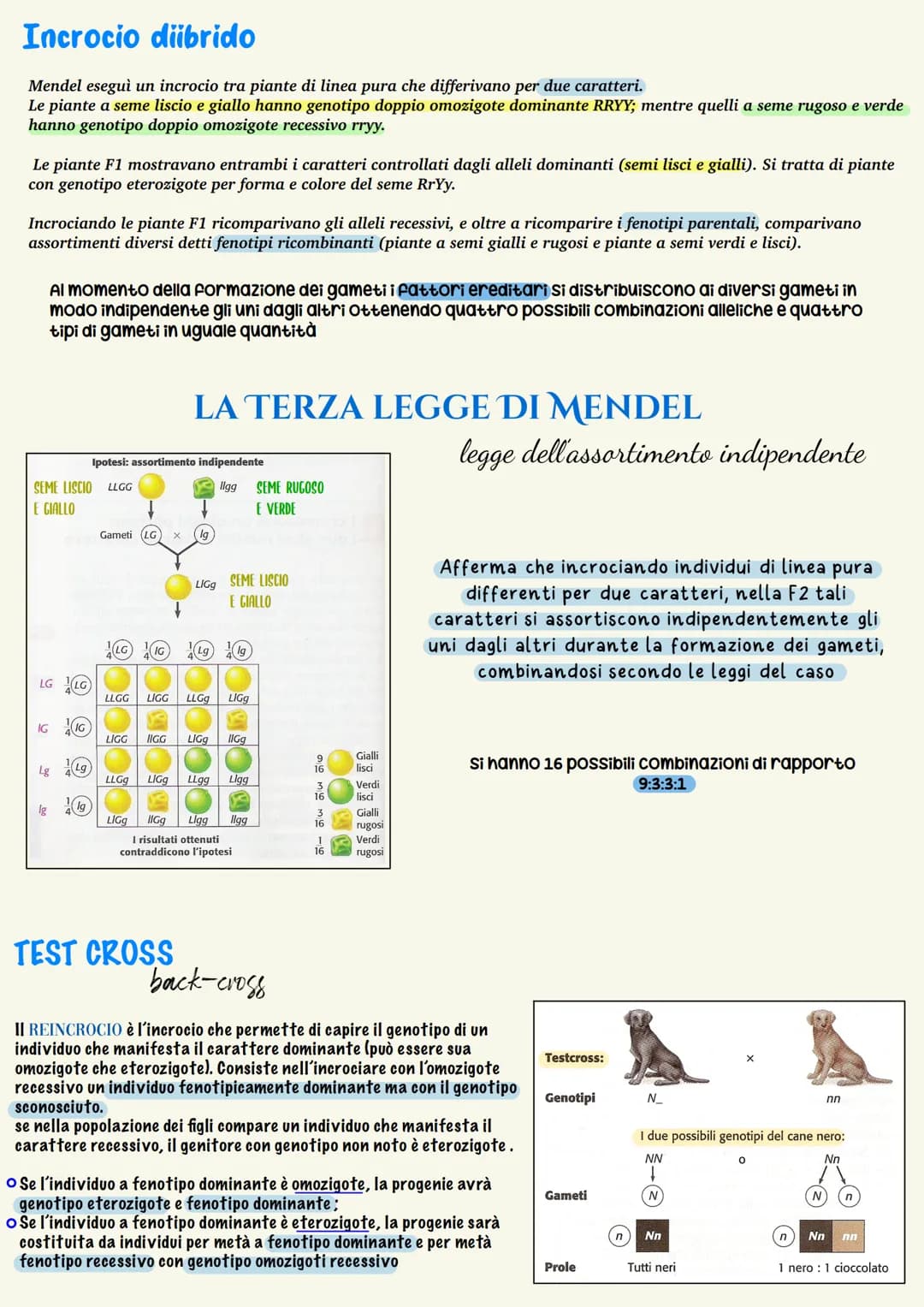 Ereditarieta
L'EREDITARIETÀ, cioè il complesso delle modalità di trasmissione dei caratteri ereditari
dagli individui di una generazione ai 