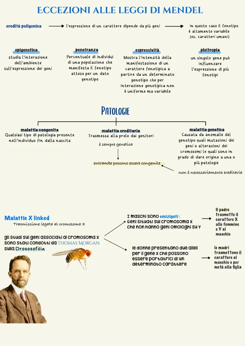 Ereditarieta
L'EREDITARIETÀ, cioè il complesso delle modalità di trasmissione dei caratteri ereditari
dagli individui di una generazione ai 