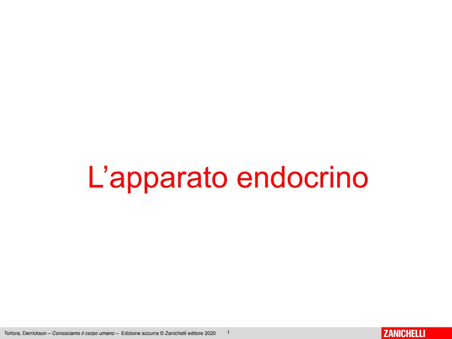 L'apparato endocrino
Tortora, Derrickson - Conosciamo il corpo umano - Edizione azzurra © Zanichelli editore 2020
1
ZANICHELLI 1. Panoramica