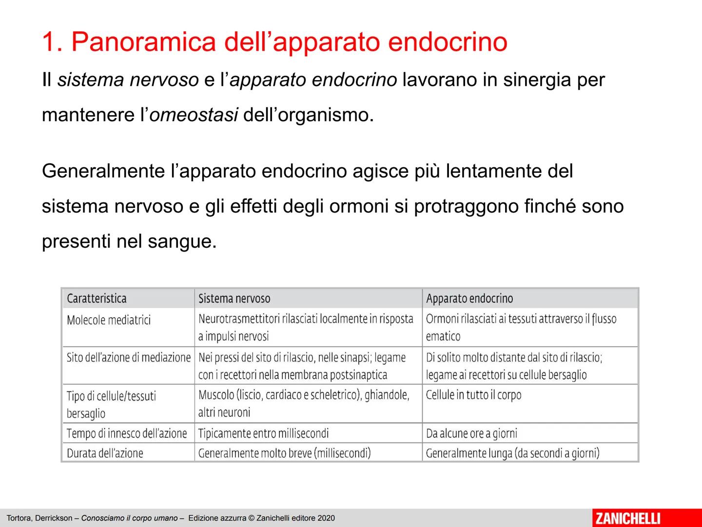 L'apparato endocrino
Tortora, Derrickson - Conosciamo il corpo umano - Edizione azzurra © Zanichelli editore 2020
1
ZANICHELLI 1. Panoramica