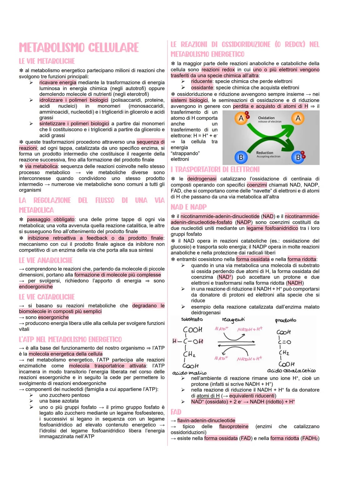 METABOLISMO CELLULARE
LE VIE METABOLICHE
* al metabolismo energetico partecipano milioni di reazioni che
svolgono tre funzioni principali:
r