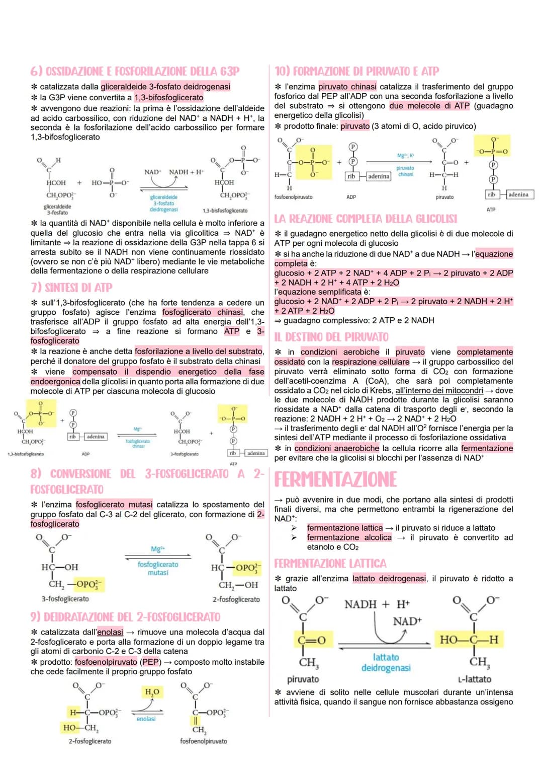 METABOLISMO CELLULARE
LE VIE METABOLICHE
* al metabolismo energetico partecipano milioni di reazioni che
svolgono tre funzioni principali:
r