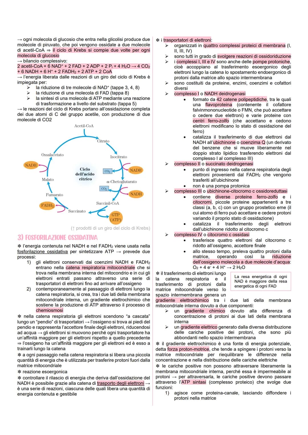 METABOLISMO CELLULARE
LE VIE METABOLICHE
* al metabolismo energetico partecipano milioni di reazioni che
svolgono tre funzioni principali:
r