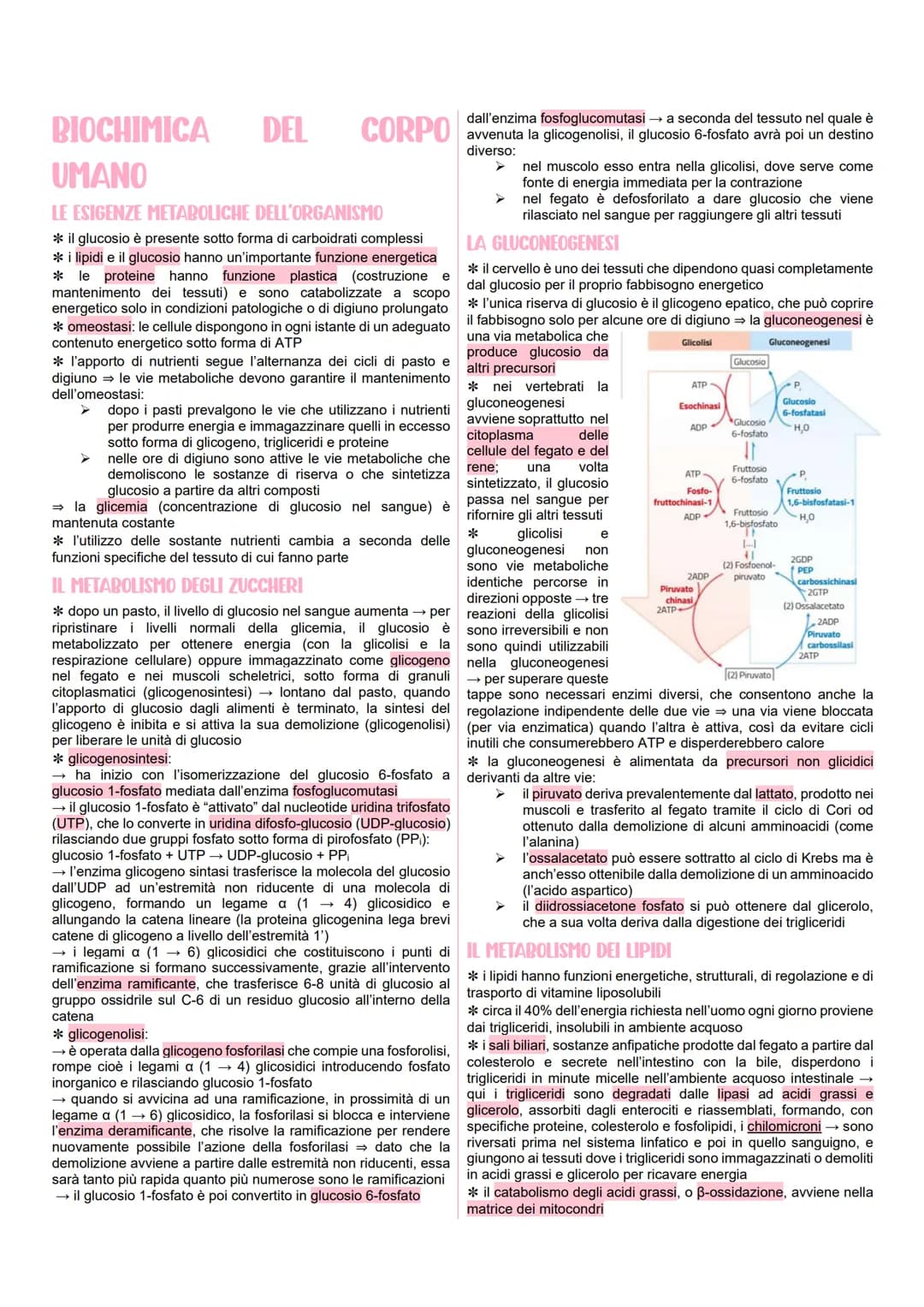 METABOLISMO CELLULARE
LE VIE METABOLICHE
* al metabolismo energetico partecipano milioni di reazioni che
svolgono tre funzioni principali:
r