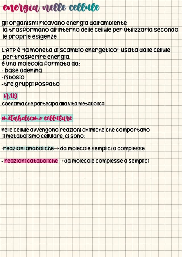 Know  Metabolismo cellulare thumbnail
