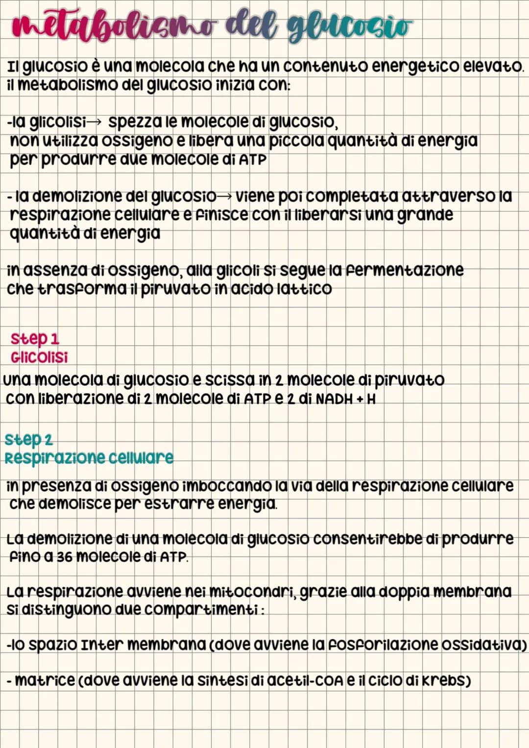 energia nelle cellule
gli organismi ricavano energia dall'ambiente
la trasformano all'interno delle cellule per utilizzarla secondo
le propr
