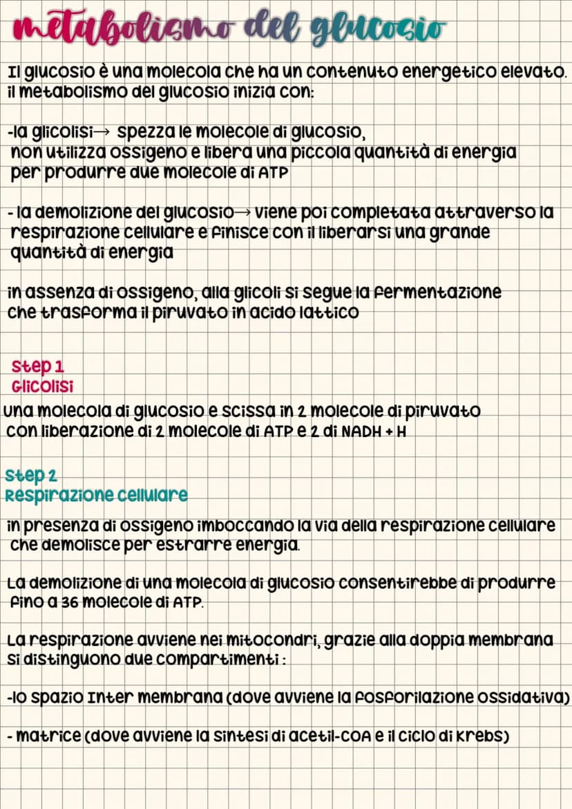 energia nelle cellule
gli organismi ricavano energia dall'ambiente
la trasformano all'interno delle cellule per utilizzarla secondo
le propr
