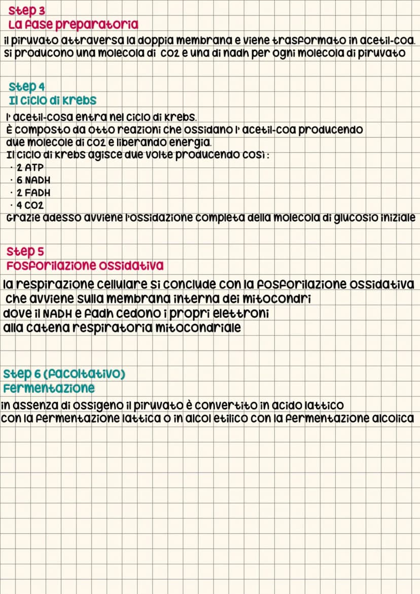energia nelle cellule
gli organismi ricavano energia dall'ambiente
la trasformano all'interno delle cellule per utilizzarla secondo
le propr