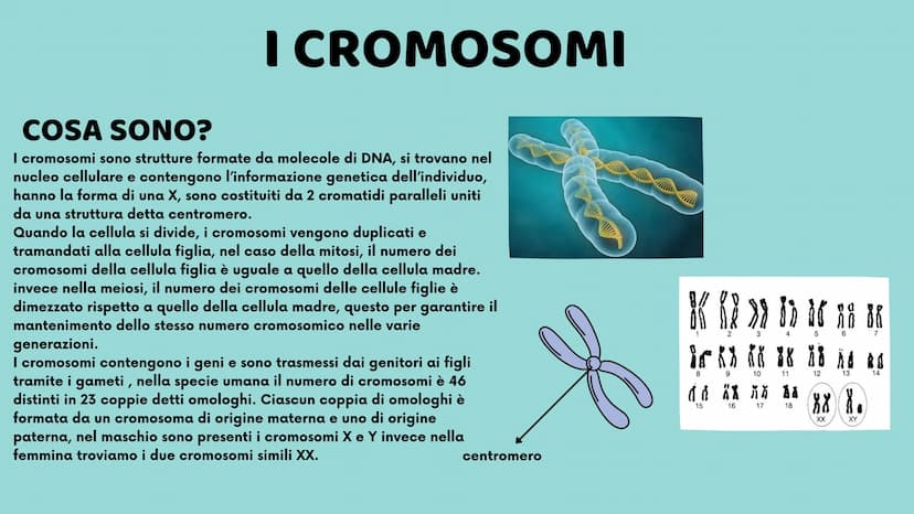 II DNA
Veronica Cardillo
Serena Cangiano
LO
10
8
12
65
4
3 UNA MOLECOLA SPECIALE
CHE COS'È?
Ogni organismo possiede all'interno del proprio 