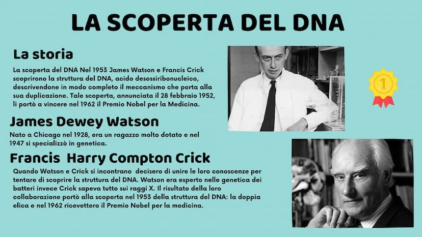 II DNA
Veronica Cardillo
Serena Cangiano
LO
10
8
12
65
4
3 UNA MOLECOLA SPECIALE
CHE COS'È?
Ogni organismo possiede all'interno del proprio 