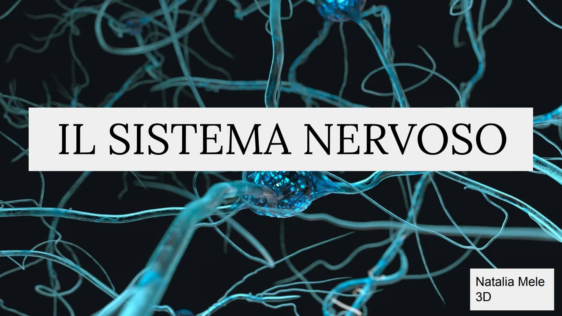 IL SISTEMA NERVOSO
Natalia Mele
3D Che cos'è?
Il sistema nervoso è il centro di comando e centro di comunicazione
dell'organismo. E' distint
