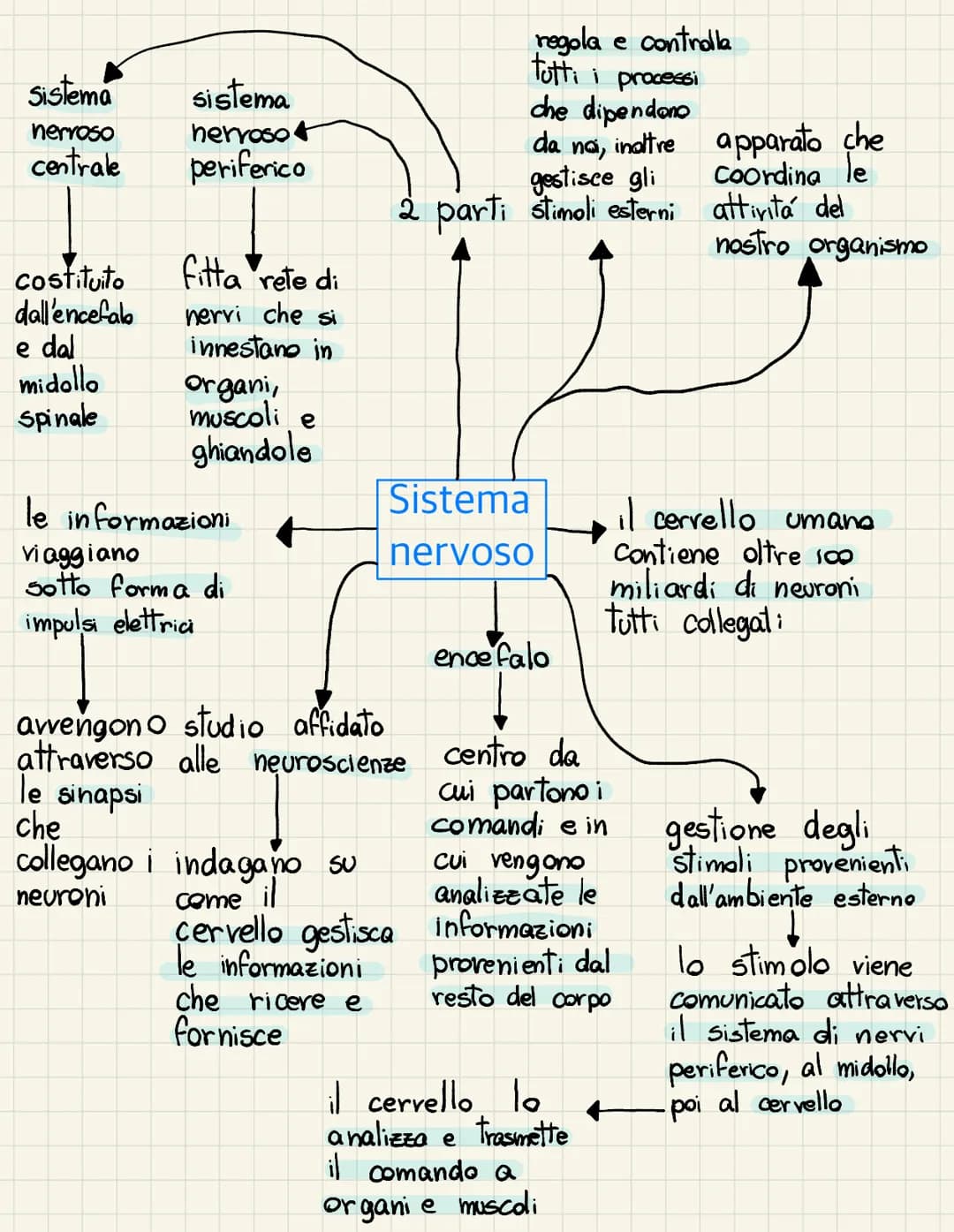 <h2 id="ilcervelloanatomiaefunzioni">Il Cervello: Anatomia e Funzioni</h2>
<p>Il cervello è la parte superiore dell'encefalo, diviso in due 