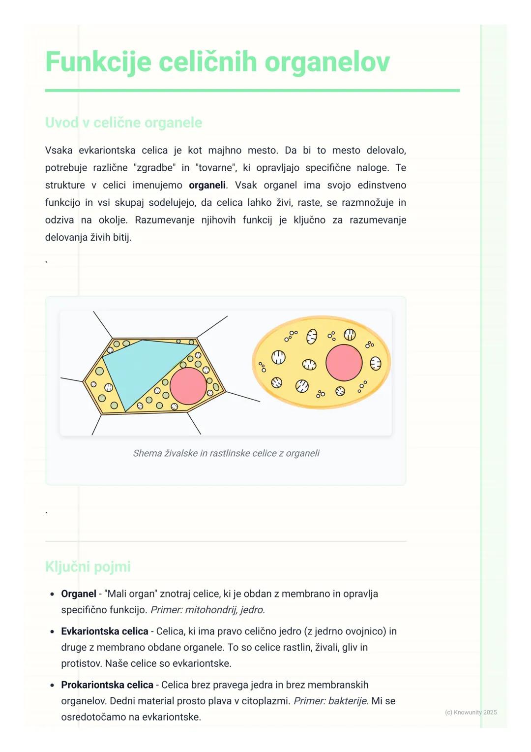 # Funkcije celičnih organelov

Uvod v celične organele

Vsaka evkariontska celica je kot majhno mesto. Da bi to mesto delovalo,
potrebuje ra