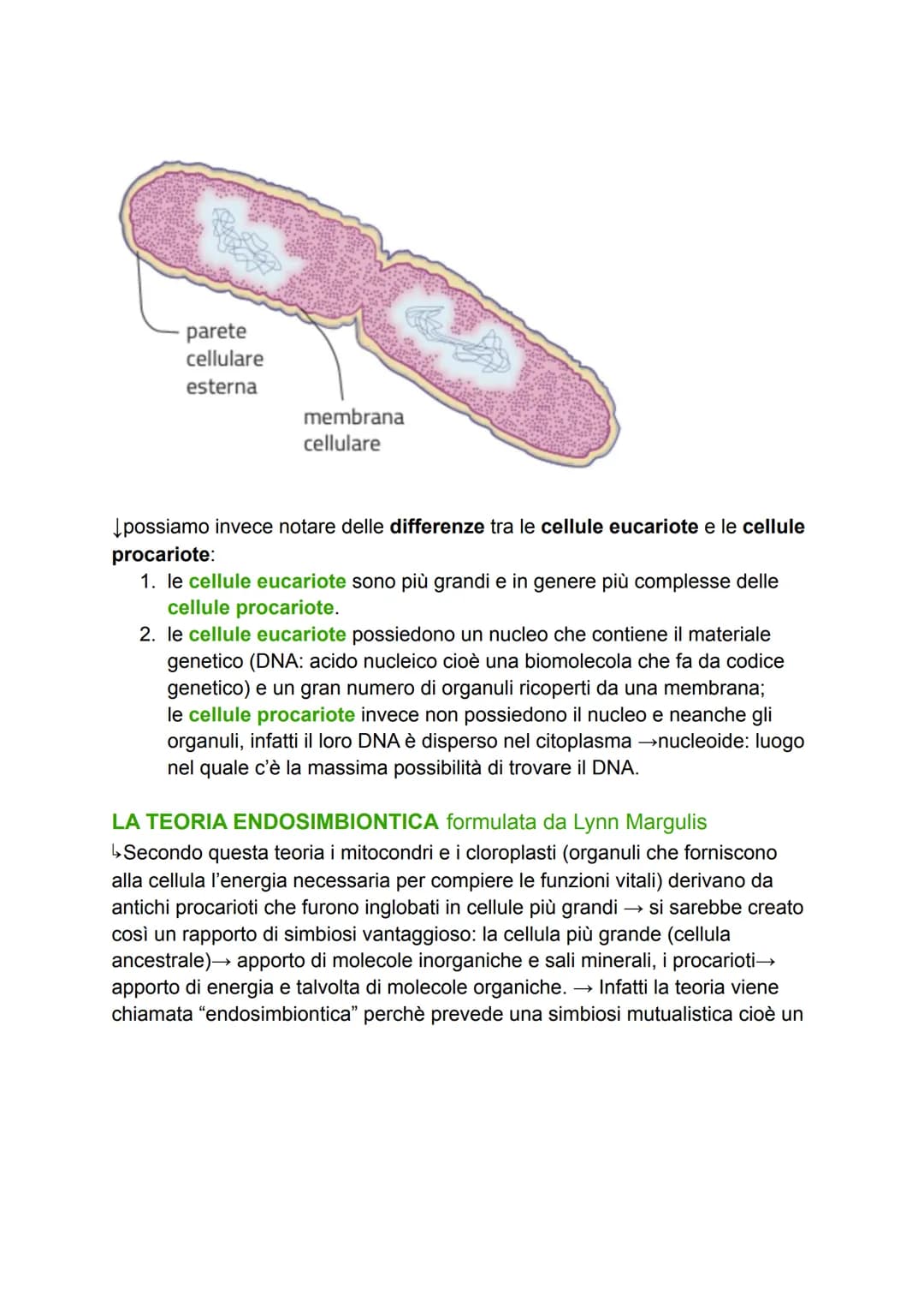 LA CELLULA
GRADO DI COMPLESSITÀ DELLA MATERIA VIVENTE
↳ 1. ATOMO
2. MOLECOLA
3. BIOMOLECOLA
4. CELLULA (la più piccola parte dell'essere viv