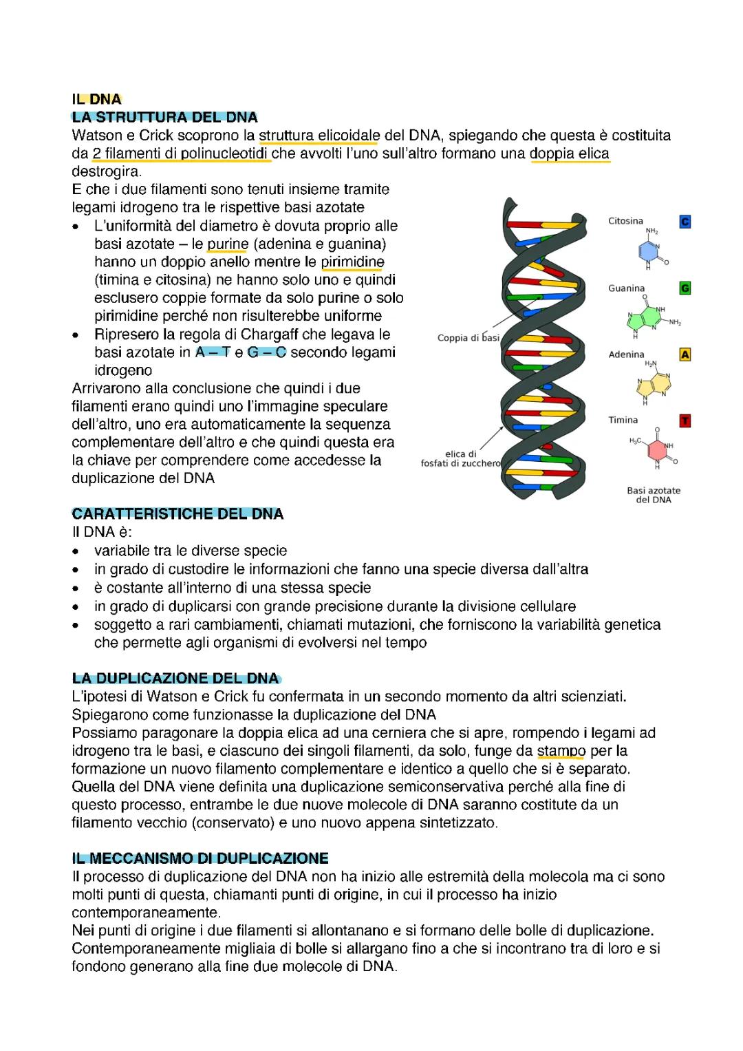 La Doppia Elica del DNA: Riassunto Facile e Divertente