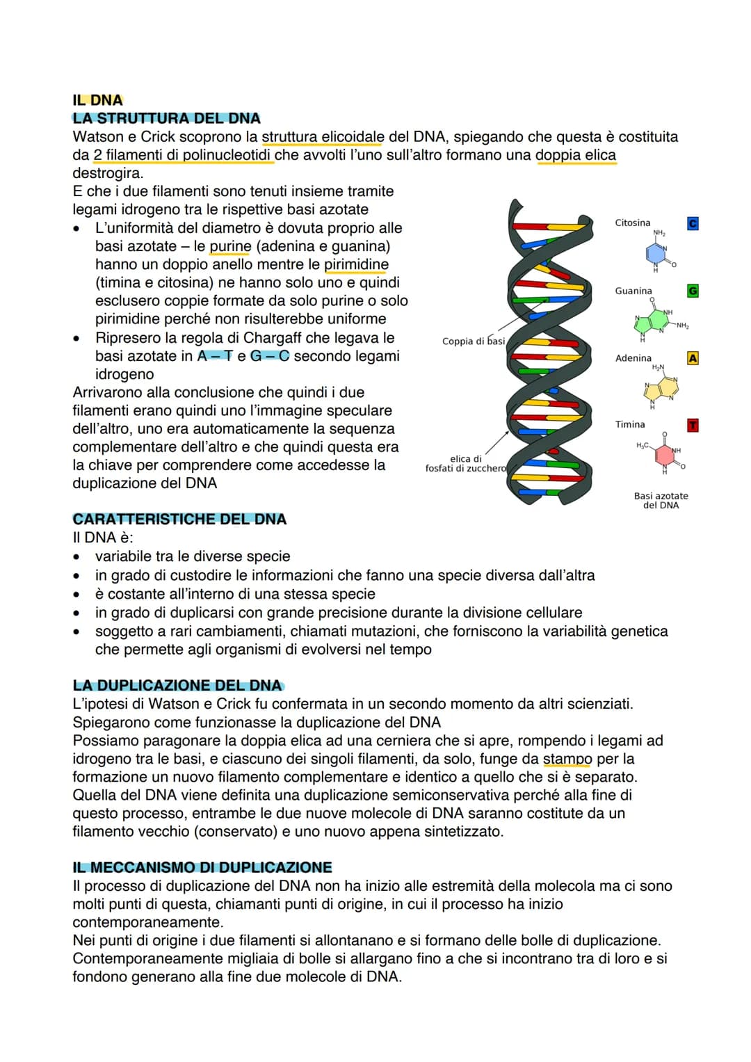 IL DNA
LA STRUTTURA DEL DNA
Watson e Crick scoprono la struttura elicoidale del DNA, spiegando che questa è costituita
da 2 filamenti di pol