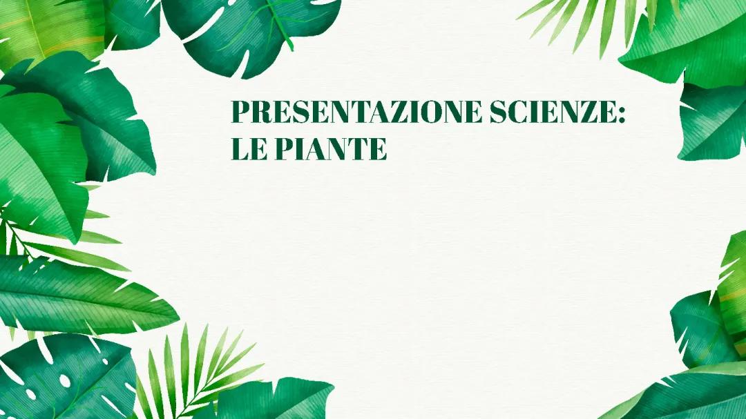 Tutto sulle Parti della Pianta e le loro Funzioni per la Scuola Primaria