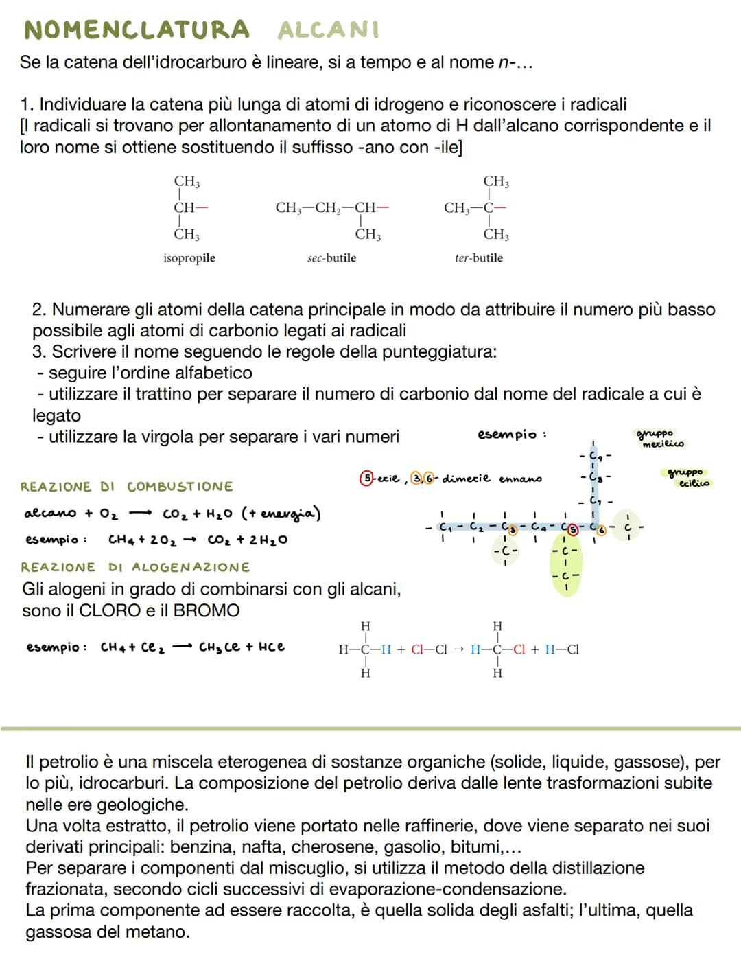 CHIMICA ORGANICA
Si occupa di indagare la composizione e l'organizzazione della materia vivente.
Tutti i componenti contenenti carbonio sono